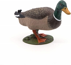 Фигурка Кряква (Papo, 51155) - миниатюра